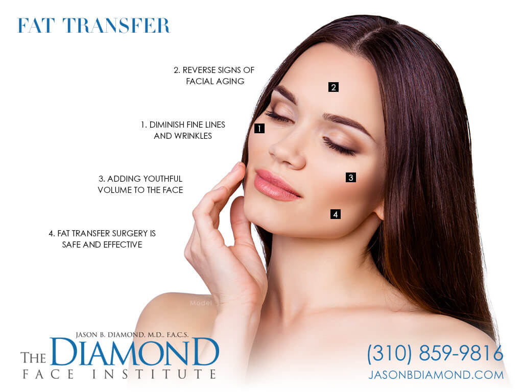 Infographic Fat Transfer | The Diamond Face Institute